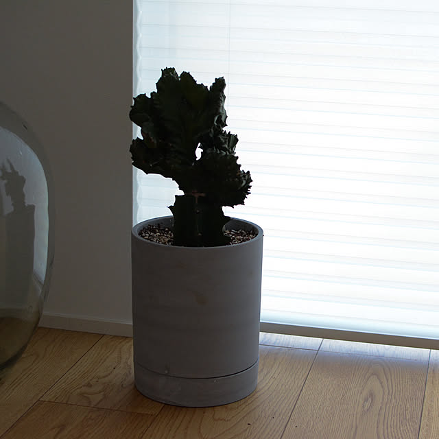 SONNTAGHAUSさんの部屋