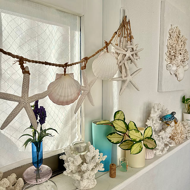 Megumiさんの部屋