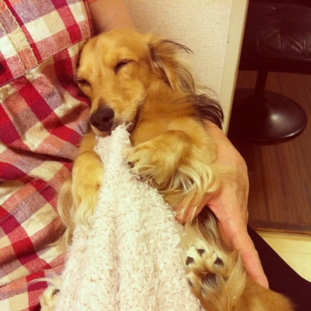 jazzrockさんの実例写真