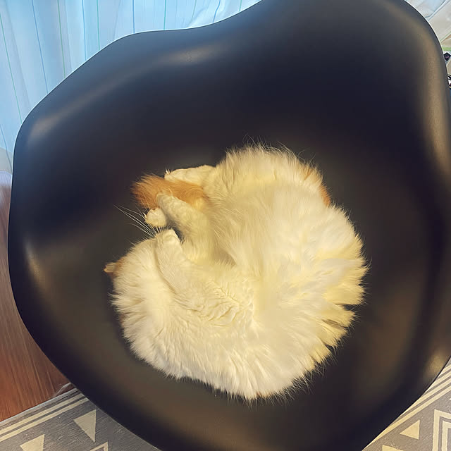 miumiu.303さんの部屋