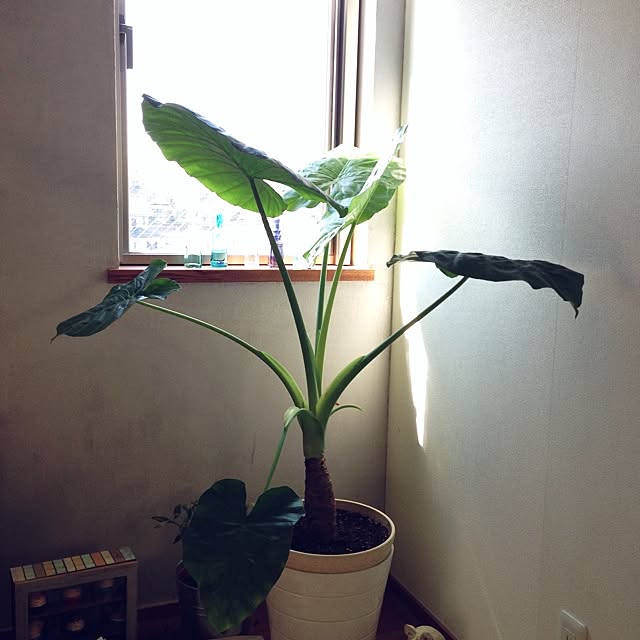 y.さんの実例写真