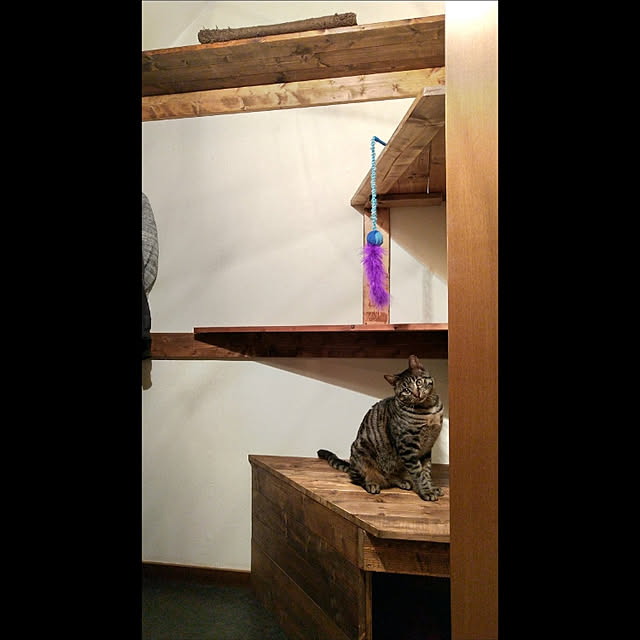 kohakuさんの実例写真