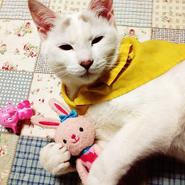 Akaneさんの実例写真