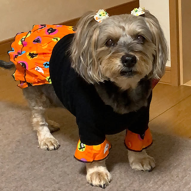 Annieさんの実例写真