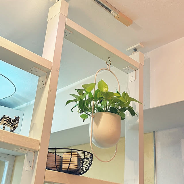koshiregutyoさんの部屋