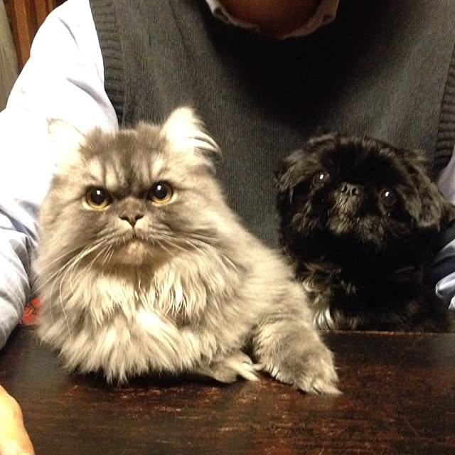 uni0609さんの実例写真