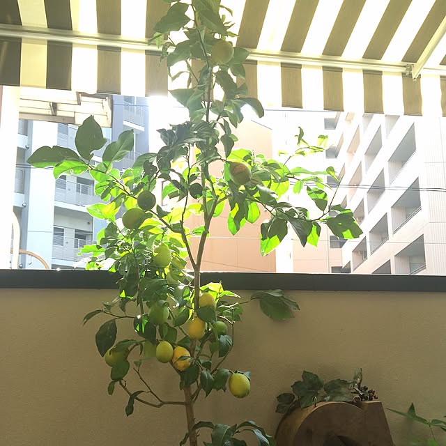 m.kさんの実例写真