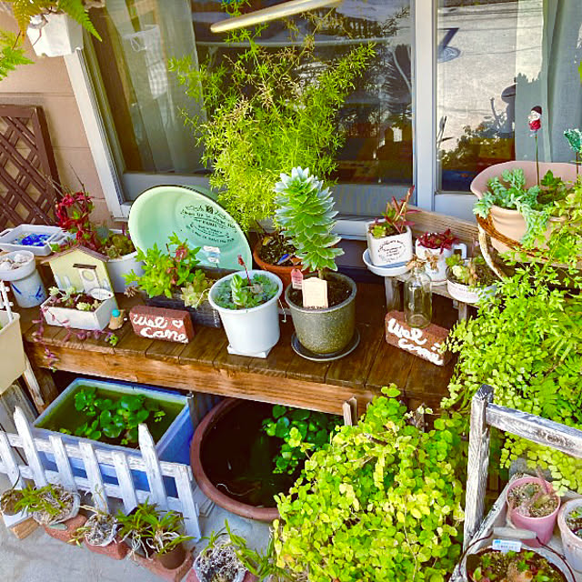 takakoさんの部屋