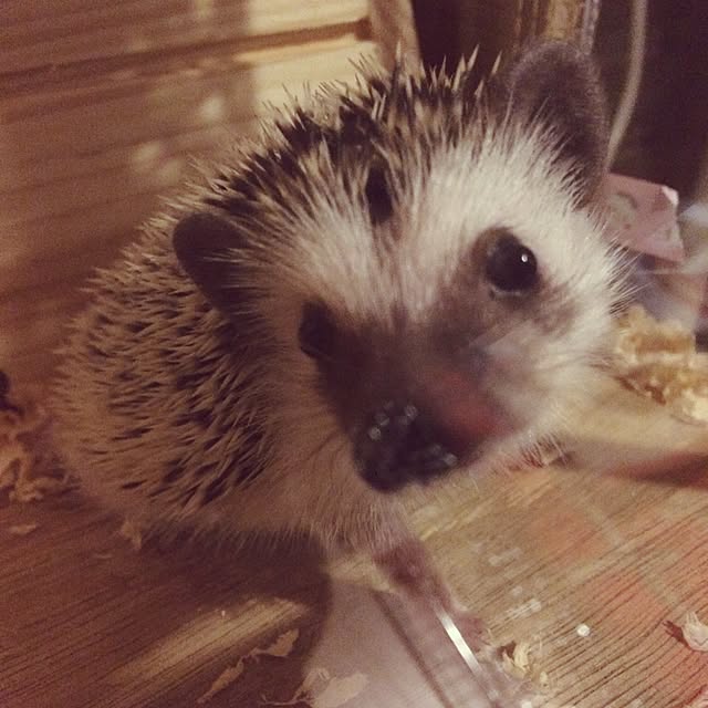 NaoMさんの実例写真