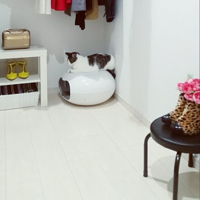 runayucoさんの実例写真