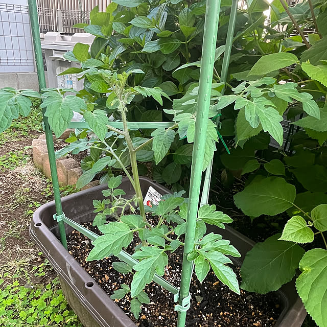 Chiakiさんの実例写真