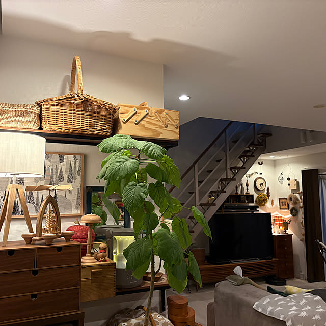 kojimasaさんの部屋