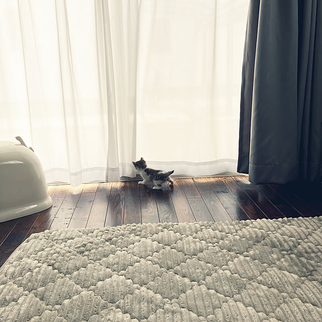 ha_koさんの部屋