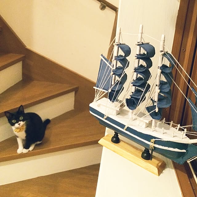 rinaonさんの実例写真