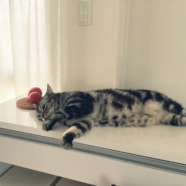 richanさんの部屋