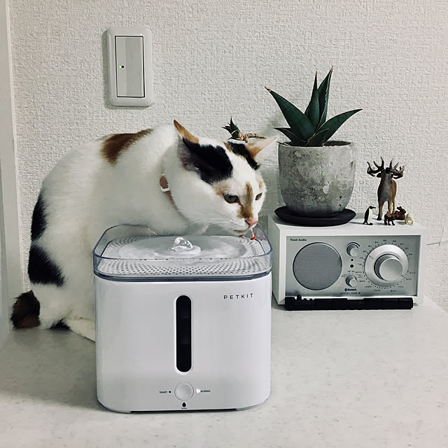biblicatさんの実例写真