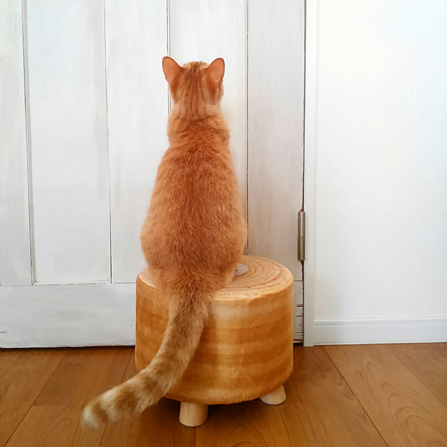 mayutan.さんの実例写真