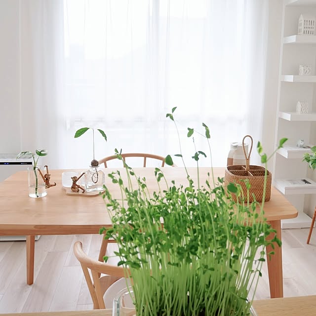 kettoさんの部屋
