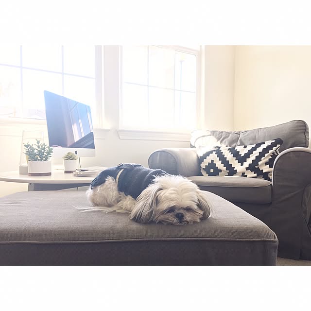 Sakuraさんの実例写真