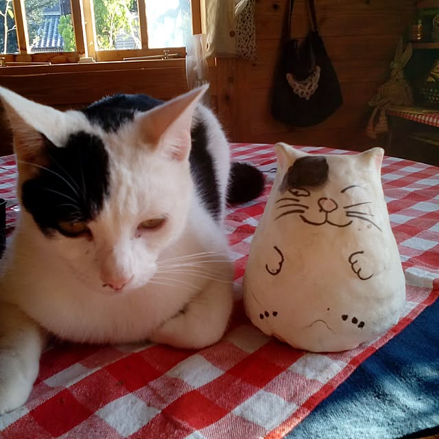 shusen.miyaさんの実例写真