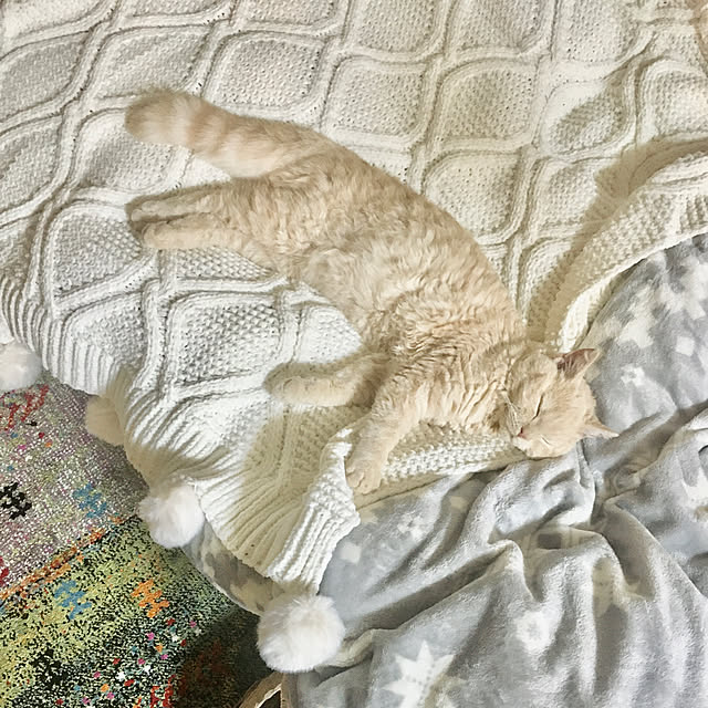 naokoさんの実例写真