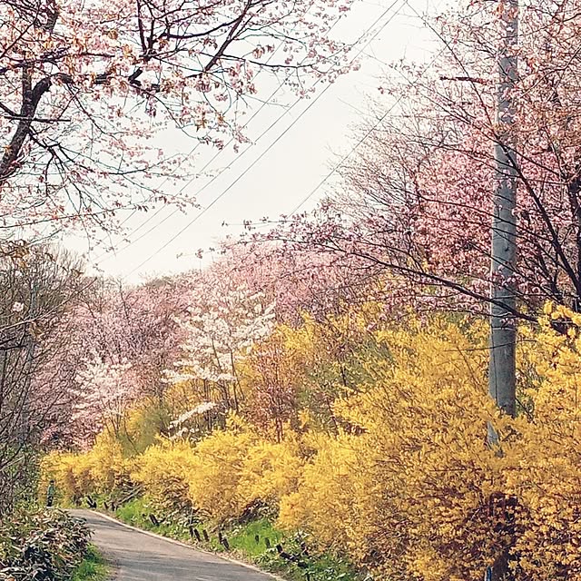 mahiro34さんの部屋