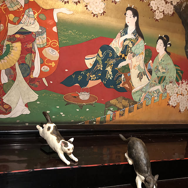 Toruさんの部屋