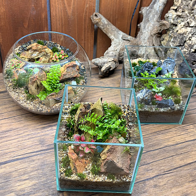cotaさんの部屋