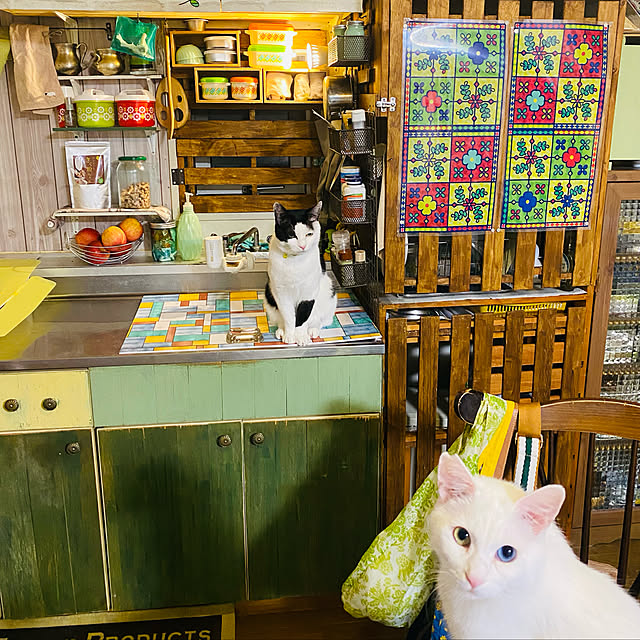 SHIHOさんの実例写真