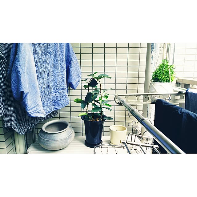 yuiticさんの実例写真