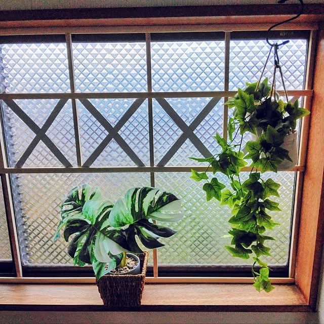 dreamerさんの実例写真