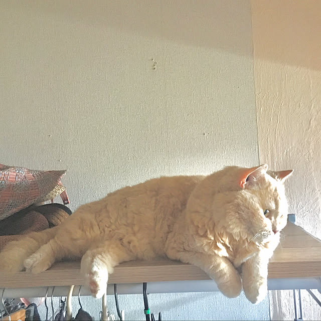 naokoさんの部屋