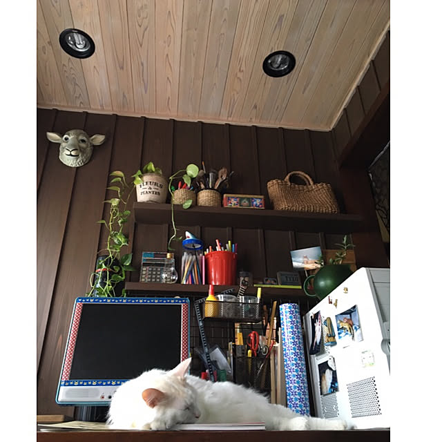 shigimiさんの実例写真