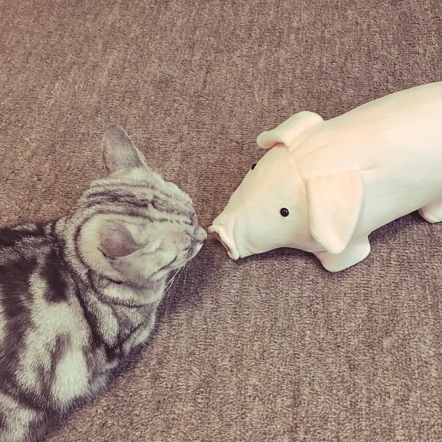 nono87さんの実例写真