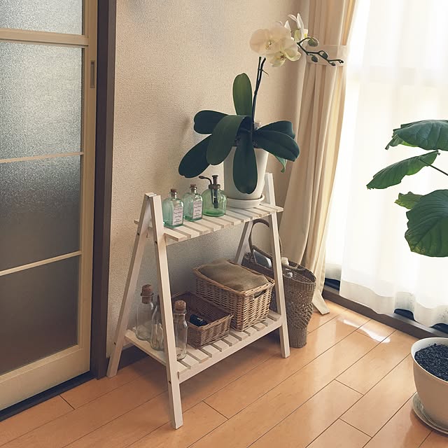 Kaneyukiさんの実例写真
