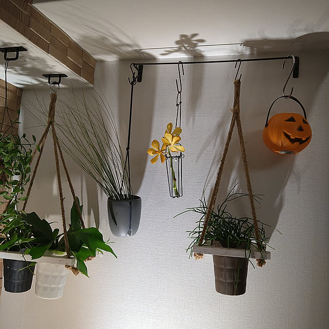 okyosan101さんの実例写真