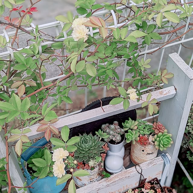 junさんの部屋