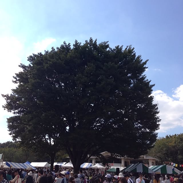 leonaさんの実例写真