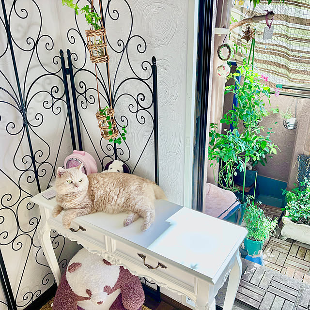 naokoさんの部屋