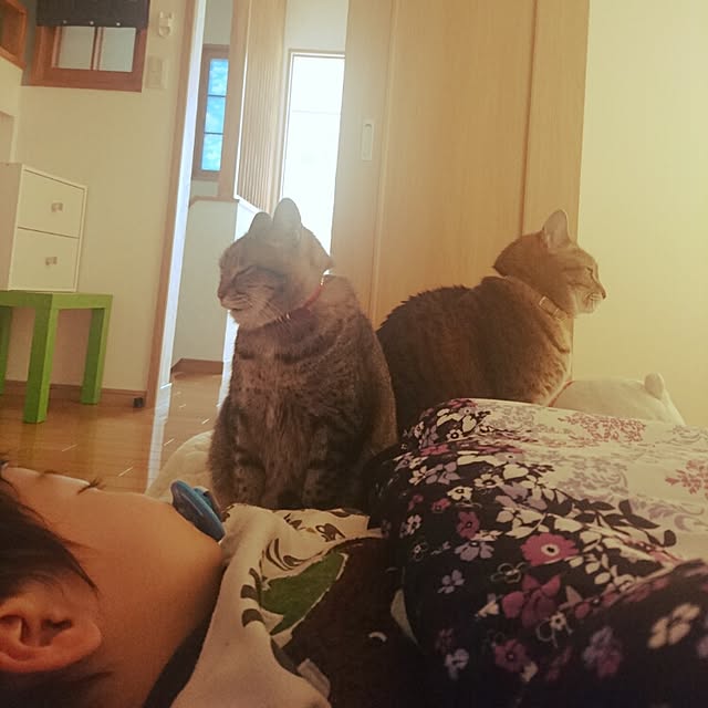 mama26さんの実例写真