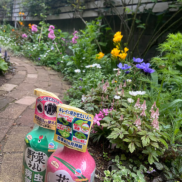 na-chanさんの実例写真