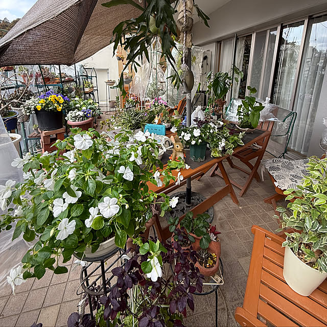 Aqettyさんの実例写真