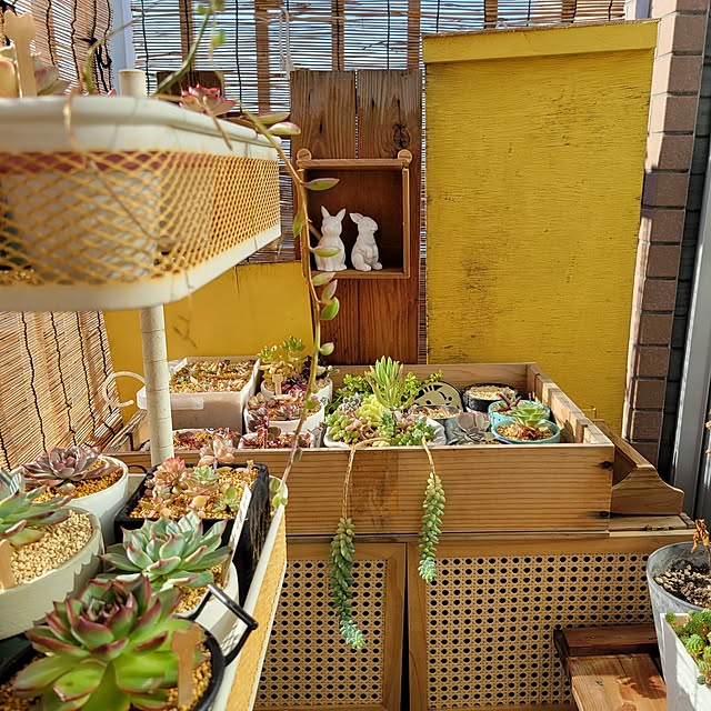 akimameさんの実例写真