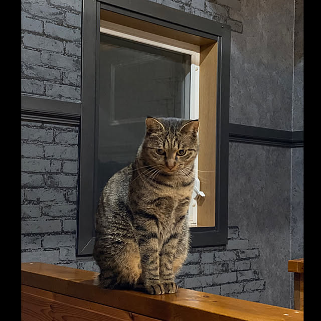necomuraさんの実例写真