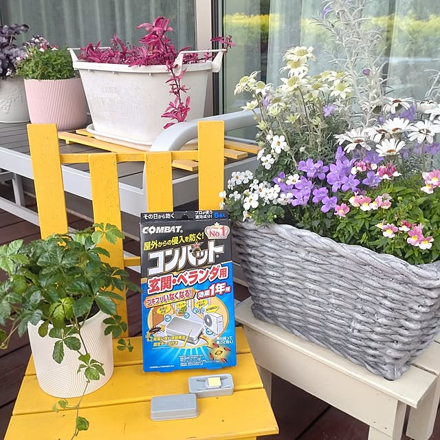 38catさんの実例写真