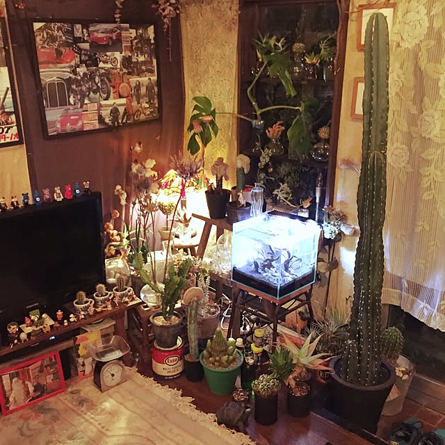 Masahideさんの実例写真