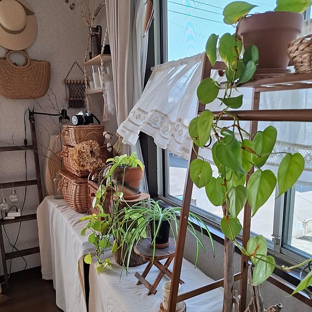 midoriさんの実例写真