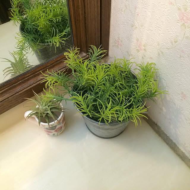 ayakorinさんの実例写真
