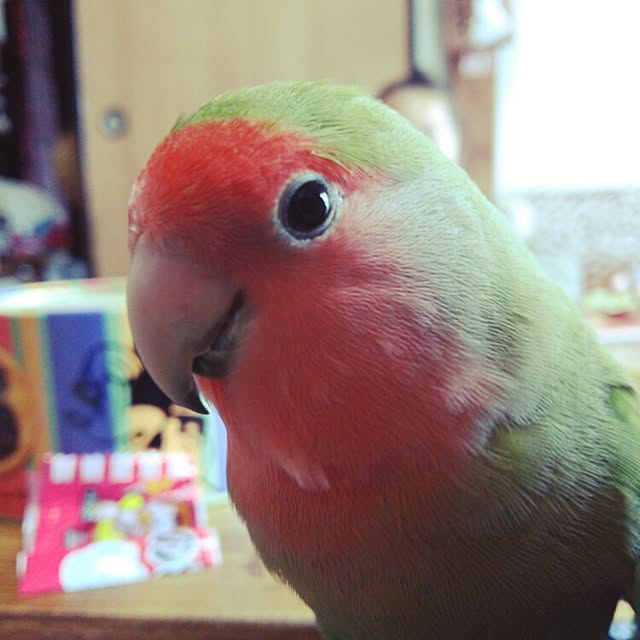 kabaoさんの実例写真