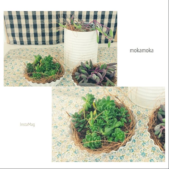 mokamokaさんの実例写真